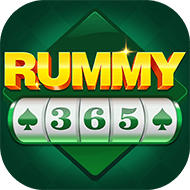 Rummy 365 app icon